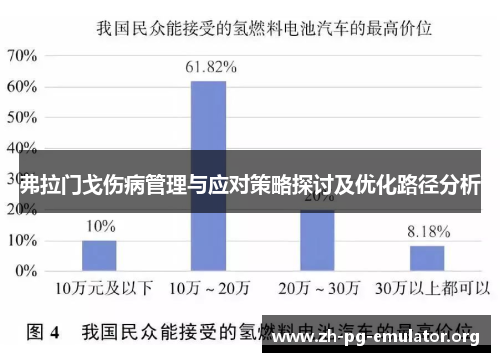 弗拉门戈伤病管理与应对策略探讨及优化路径分析 弗拉门戈伤病管理与应对策略探讨及优化路径分析