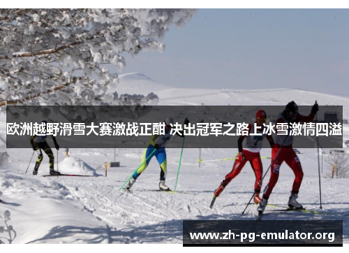 欧洲越野滑雪大赛激战正酣 决出冠军之路上冰雪激情四溢 欧洲越野滑雪大赛激战正酣 决出冠军之路上冰雪激情四溢