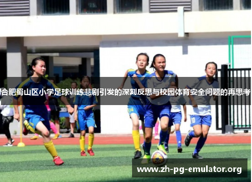 合肥蜀山区小学足球训练悲剧引发的深刻反思与校园体育安全问题的再思考 合肥蜀山区小学足球训练悲剧引发的深刻反思与校园体育安全问题的再思考