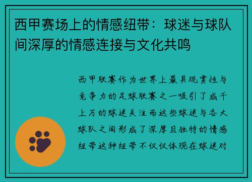 西甲赛场上的情感纽带:球迷与球队间深厚的情感连接与文化共鸣 西甲赛场上的情感纽带:球迷与球队间深厚的情感连接与文化共鸣