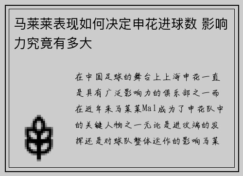 马莱莱表现如何决定申花进球数 影响力究竟有多大 马莱莱表现如何决定申花进球数 影响力究竟有多大