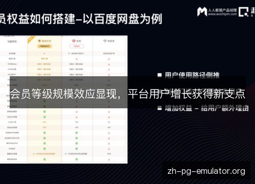 会员等级规模效应显现，平台用户增长获得新支点